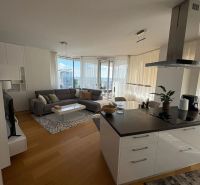 Living room with kitchen, wooden decor flooring, light curtains, 3-room apartment.