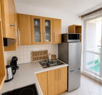 A kitchen with wooden cabinets, a refrigerator, and a microwave in a two-room apartment.