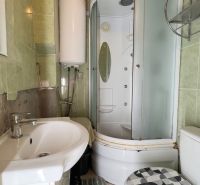 Bathroom with a sink, shower, and toilet in a family house.