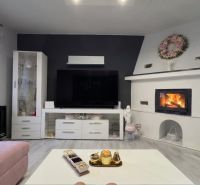 Living room with a fireplace, television, and wood-patterned flooring in a family house.