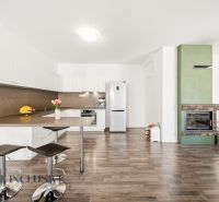A kitchen in a 3-room apartment with a bar counter, a fireplace, and a floor with a wooden decor.
