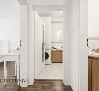 Interior of a 3-room apartment with a wooden decor floor, bathroom, and bedroom.