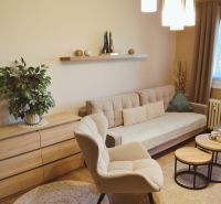 Living room of a three-room apartment with a sofa, an armchair, and a wooden decor floor.