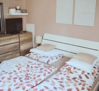 Bedroom in a 3-room apartment with a bed and a dresser with a wood-patterned floor.