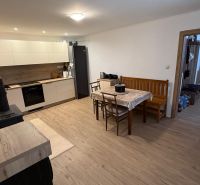 Kitchen and dining room with a fireplace, long table, wooden decor flooring, family house.