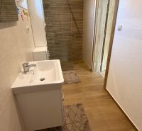 A bathroom in a family house with a sink, a shower corner, and a floor with a wooden decor.