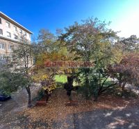 A view of the courtyard with autumn trees at the apartment building on Miletičova in Bratislava - Ružinov.
