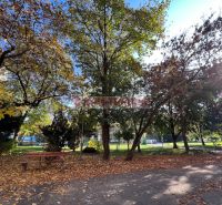 A park with a bench in autumn weather on Miletičova Street in Bratislava - Ružinov.