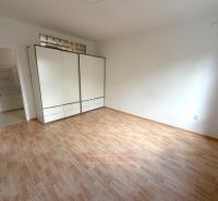 A room in a 2-room apartment with a wooden decor floor and a large wardrobe.