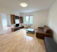 Living room in a two-room apartment with a wooden decor floor and a sofa.