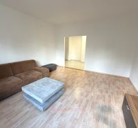 Living room in a two-room apartment with a sofa and a wooden decor floor.