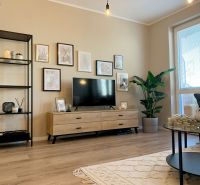 Living room with wood-patterned flooring, television, and decorations in a two-room apartment.