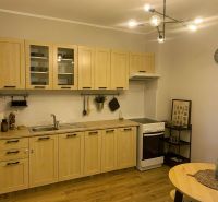 A kitchen in a 2-room apartment with a wooden decor and a light kitchen unit.