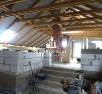 An unfinished attic space in a family house, with visible wooden beams and construction materials.