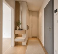 Entrance hall in a 2-room apartment with wood-patterned flooring, light walls, and storage space.
