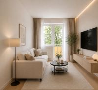 Living room in a 2-room apartment with a sofa, TV, and wooden floor decor.