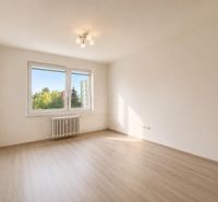A spacious room with a wooden decor floor, a large window, and a radiator in a 2-room apartment.