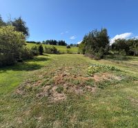 Greenery and tree cover on plots in Vlachy, suitable for living.