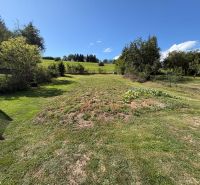 Plots - living in Vlachy with greenery and blue skies.