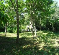 A garden at a family house in Abaujvár with numerous trees and greenery.