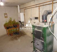 The basement of a family house in Gönc with a boiler and plants on the table.