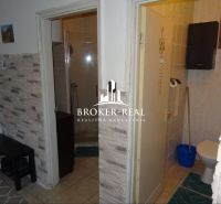 Bathroom with toilet, decorative wall, tiled floor, family house.