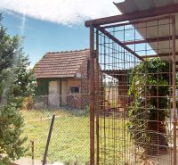 The garden at the family house on 1st May Street in Brodské with a fence and a shelter.
