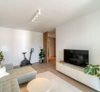 Living room in a 3-room apartment with a wooden decor floor and houseplants.