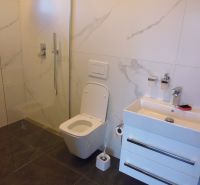 Bathroom with shower, toilet, and sink in warehouse and hall spaces.