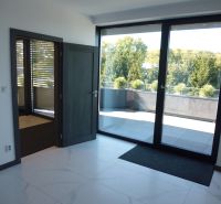 Spacious office spaces with glass doors, view of the terrace and greenery.