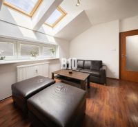 Living room in a two-room apartment with skylights, a sofa set, and a wooden decor floor.