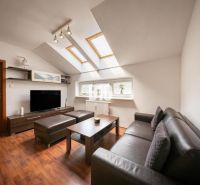 Living room in a two-room apartment with skylights and a wooden decor floor.