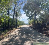 A road in Bratislava IV surrounded by trees in pleasant sunny weather.