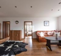 Living room with a leather sofa, wood-patterned flooring, and a decorative rug.