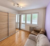 Living room in a 3-room apartment with a sofa and a wardrobe, wooden decor flooring.