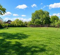 The garden of a family house in Oslany with a lawn, surrounded by greenery and a blue sky.