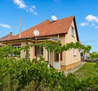 A family house in Oslany with a front garden, a fence, and a satellite dish on the roof.