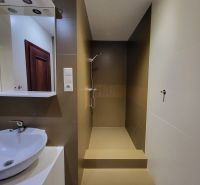 A bathroom with dark tiles, a sink, and a shower in a 4-room apartment.