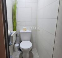 Bathroom in a 2-room apartment with a toilet and a decorative plant.