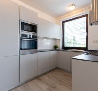 A kitchen in a 2-room apartment with a corner unit and a floor with a wood decor.
