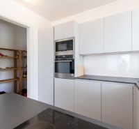 A kitchen in a 2-room apartment with built-in appliances and an open pantry.