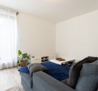 A bright living room with a sofa, curtains, and a wooden-decor floor in a 2-room apartment.