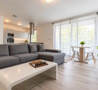 A bright living room with a kitchen, with a wooden decor floor in a 2-room apartment.