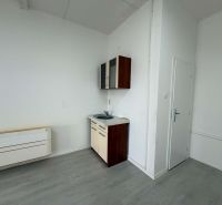 Commercial premises with a kitchenette and a wooden decor floor.