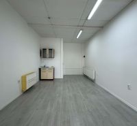 Commercial premises with a wooden decor floor also include a sink and cabinets.