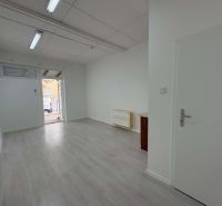 Commercial spaces with wood decor flooring, white walls, and lighting.