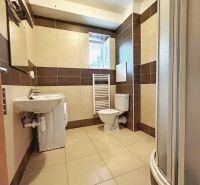 A studio apartment bathroom with a toilet, shower corner, and window, tiles in brown decor.