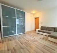 A studio apartment with a wooden floor, a sofa, and a built-in wardrobe.