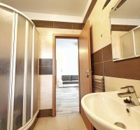 A bathroom in a studio apartment with a spacious shower and a sink.