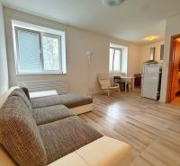 A studio apartment with wood-patterned flooring, a sofa, a table, and a kitchenette.
